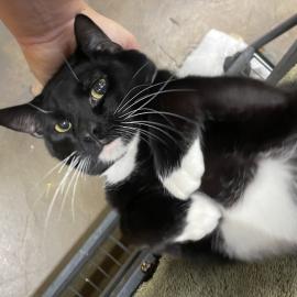 Photo for 152940 [375961]