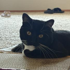 Photo for 153017 [Rickey]