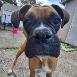 Photo for 153024 [Kaiya]