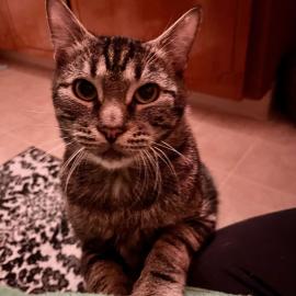 Photo for 153030 [Cameron]