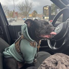 Photo for 153065 [Biggy]