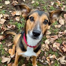 Photo for 153114 [Daisy]