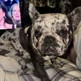 Photo for 153134 [Astro]