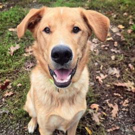 Photo for 153251 [376311]