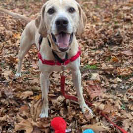 Photo for 153320 [Sam]