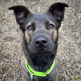 Photo for 153365 [Winnie]