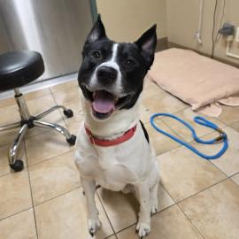 Photo for 153533 [376793]