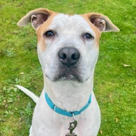 Photo for 153613 [376909]