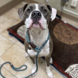 Photo for 153656 [376938]