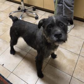 Photo for 153694 [376957]