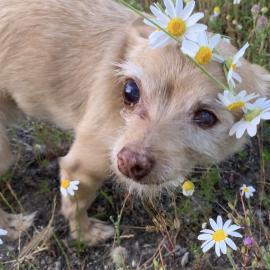 Photo for 153794 [Ru]