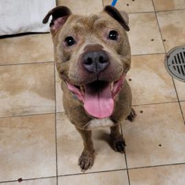 Photo for 153800 [Teddy Graham]