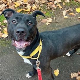 Photo for 153882 [Belinda]