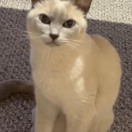 Photo for 153961 [Sherby]