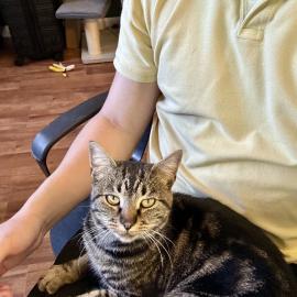 Photo for 153987 [fr153987]