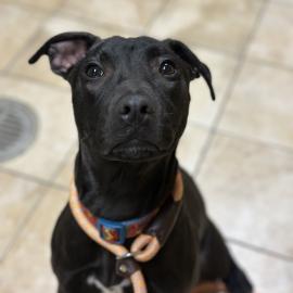 Photo for 154026 [377554]