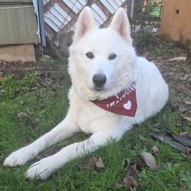 Photo for 154044 [Frozen]