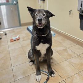 Photo for 154052 [377568]