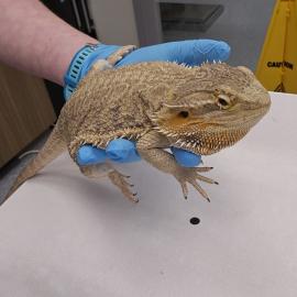 Photo for 154079 [377583]