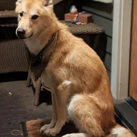 Photo for 154090 [Teeka]