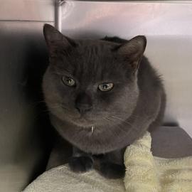 Photo for 154098 [377645]