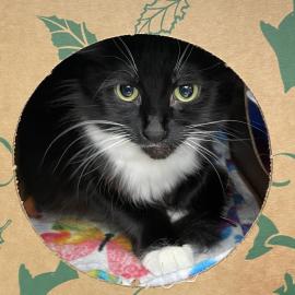 Photo for 154104 [377658]