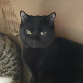 Photo for 154117 [377690]