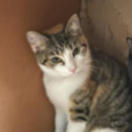 Photo for 154119 [377692]