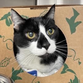 Photo for 154128 [377711]