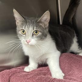 Photo for 154134 [377714]