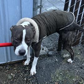 Photo for 154178 [377781]