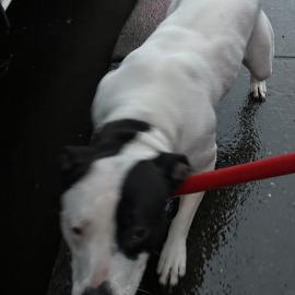 Photo for 154180 [377782]