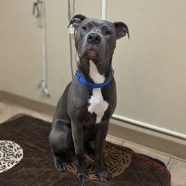 Photo for 154212 [Baby Huey]