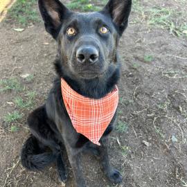 Photo for 154246 [Elisa]