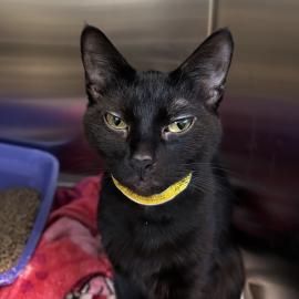 Photo for 154254 [377826]