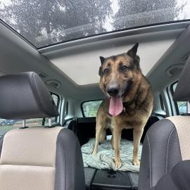 Photo for 154278 [Unknown ]