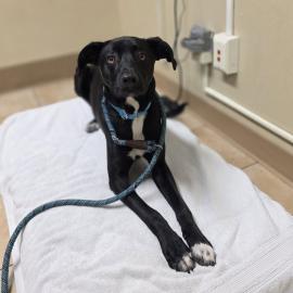 Photo for 154284 [377844]