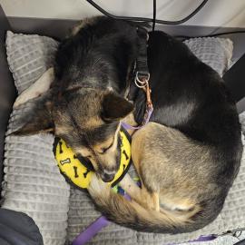 Photo for 154306 [377854]