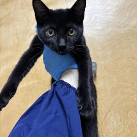 Photo for 154318 [377857]