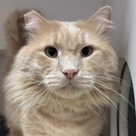 Photo for 154321 [377860]