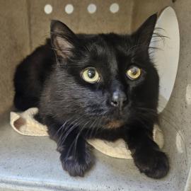 Photo for 154325 [377869]