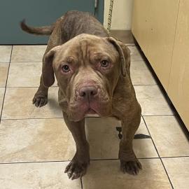 Photo for 154329 [377871]