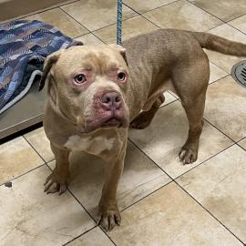 Photo for 154331 [377872]