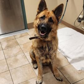 Photo for 154335 [Titan]