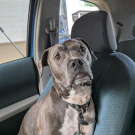 Photo for 154343 [Sterling]