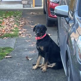 Photo for 154349 [fr154349]