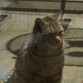 Photo for 154366 [fr154366]