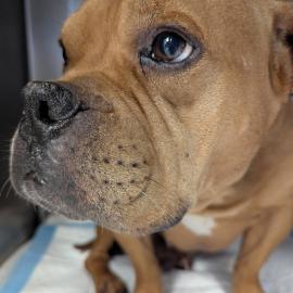 Photo for 154370 [377886]