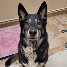 Photo for 154376 [377909]