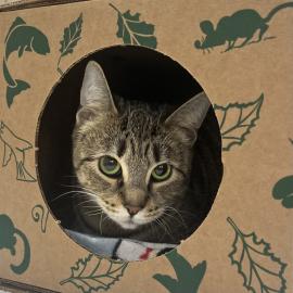 Photo for 154380 [377912]